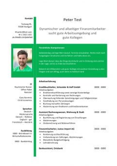 1 Lebenslauf-Finanzmitarbeiter_in-grün