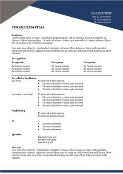 Bewerbungen und CV mit Zusammenfassung und Kompetenzen blau