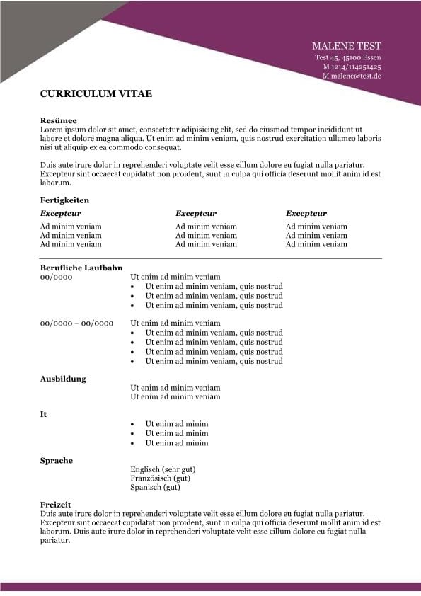 Bewerbungen und CV mit Zusammenfassung und Kompetenzen violett