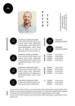1 CV-Vorlage-in-der-Tabelle-mit-schwarz-Kreisen