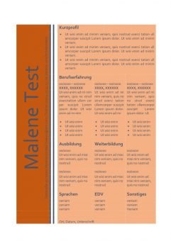 Muster - CV - Lebenslauf - orange