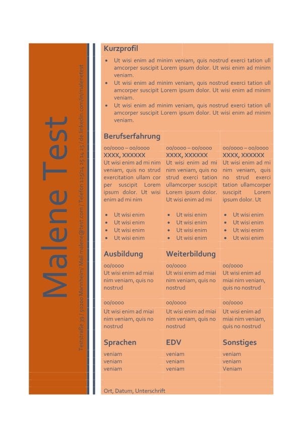 Muster - CV - Lebenslauf - orange