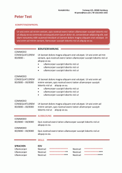 Vorlage Kompetenzprofil CV im Textfeld - rot
