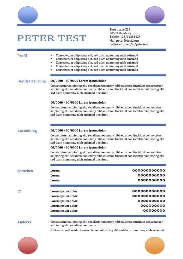 CV-Vorlage in der Tabelle - mit Kreisen copy