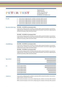 CV-Vorlage in der Tabelle - mit Linien