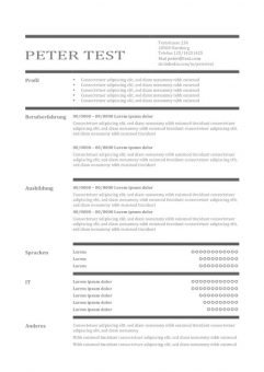 CV-Vorlage in der Tabelle - mit Linien - braun