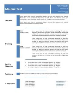 Lebenslauf - Vorlage in der Tabelle - blau