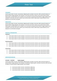 Vorlage-Hybrid-Lebenslauf_1